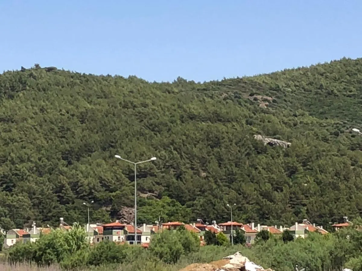 Holiday home Ephesus Holiday House Villa Selcuk